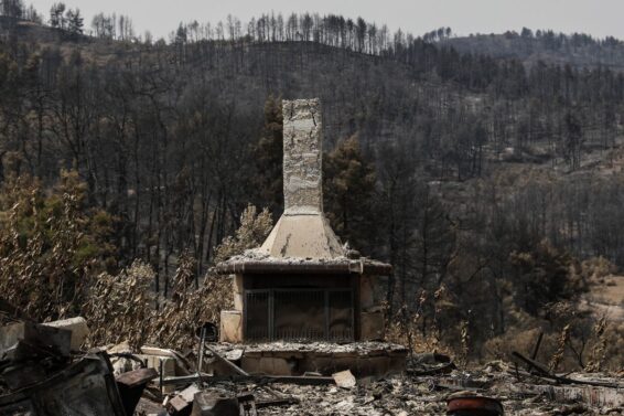 Περιοχή της Εύβοιας μετά τις πυρκαγιές του καλοκαιριού του 2021 - Πηγή: EUROKINISSI/ΒΑΣΙΛΗΣ ΡΕΜΠΑΠΗΣ)