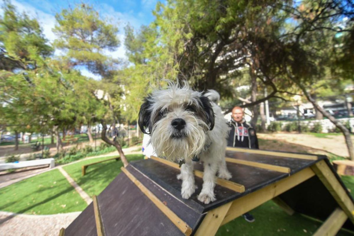 Tο νέο πάρκο σκύλων από το Δήμο Αθηναίων - Πηγή: Δήμος Αθηναίων