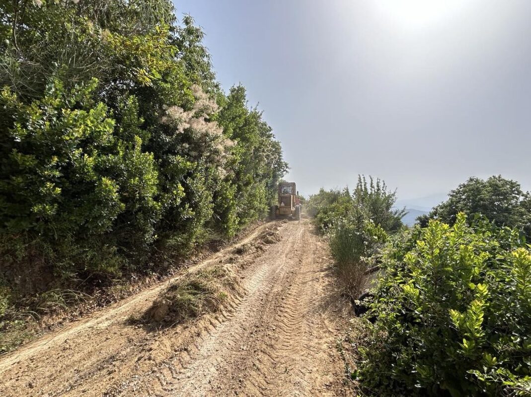 Έργα αντιπυρικής προστασίας του δασικου οδικου δικτύου Άρτας Πηγή: Δήμος Άρτας