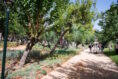 αναβάθμιση πάρκου Ελευθεριας Πηγη: Δήμος Αθηναίων
