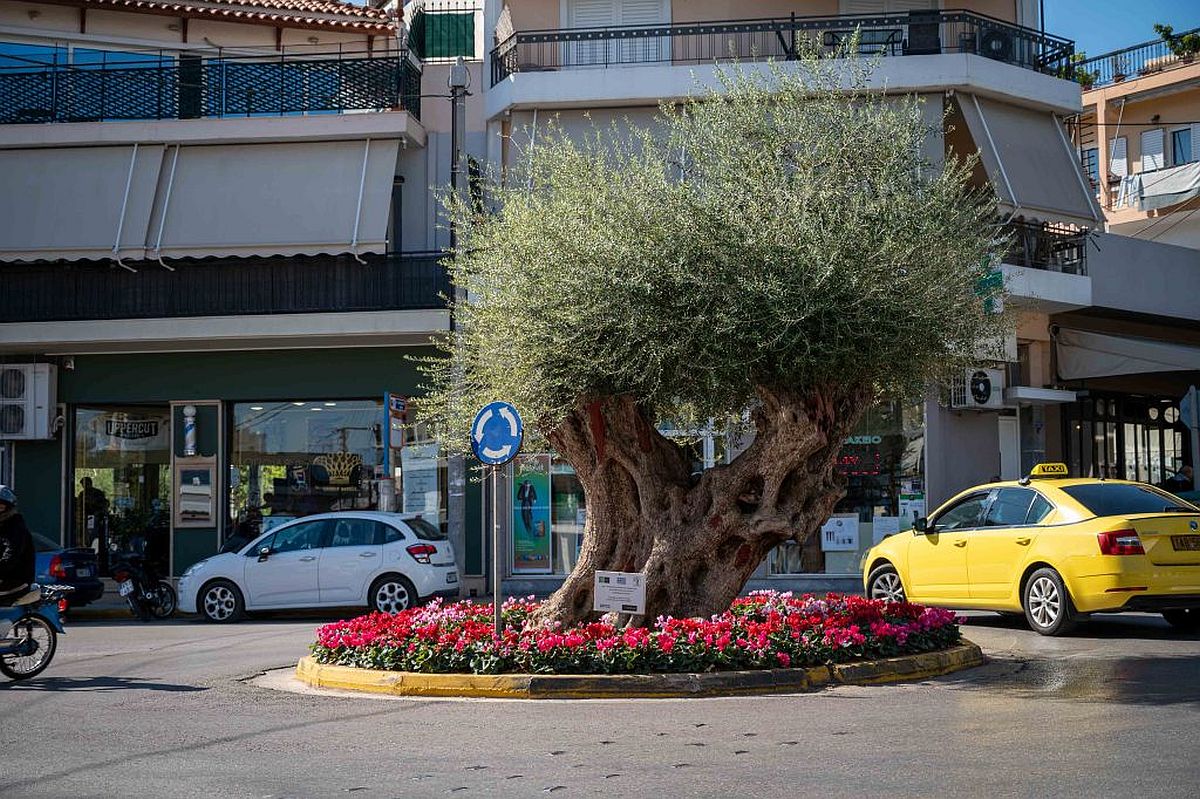 ανάπλαση ΖΩΟΔΟΧΟΥ ΠΗΓΗΣ ΙΛΙΟΝ Πηγή: Δήμος Ιλίου